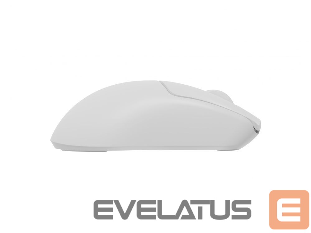 Arvutihiir Genesis Zircon 500 | Wireless/Wired | Gaming Mouse | 2.4 GHz, Bluetooth, USB | White