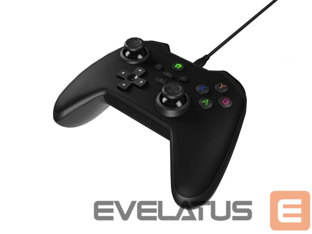 Arvutitoolid / lauad Genesis Mangan 300 Gamepad, Black, Wired