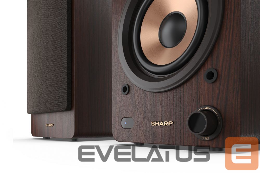 Arvutikõlarid Sharp CP-SS30 Bookshelf Speakers, Brown