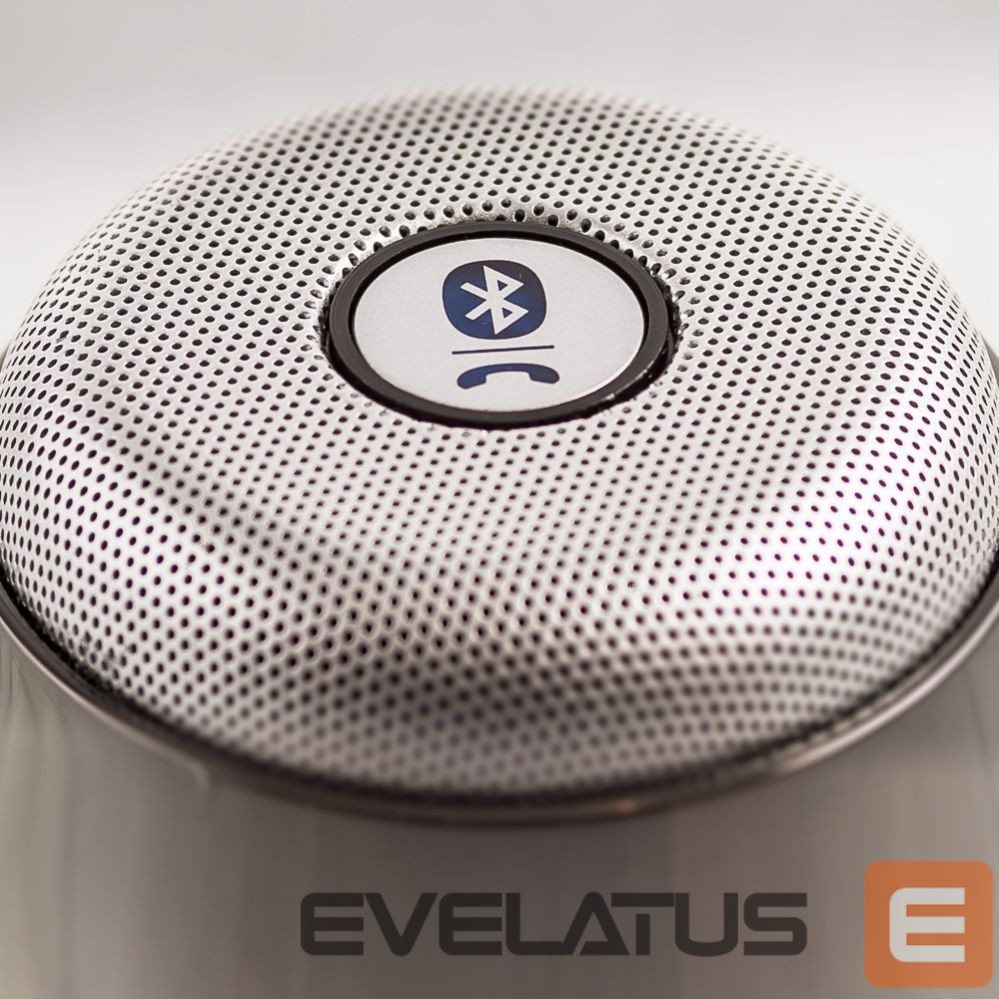Juhtmevabad kõlarid Evelatus Bluetooth Speaker ESP01 Black