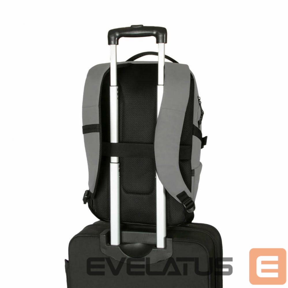 Sülearvuti kott Targus | Terra EcoSmart | Backpack | Grey | 16 " | Shoulder strap