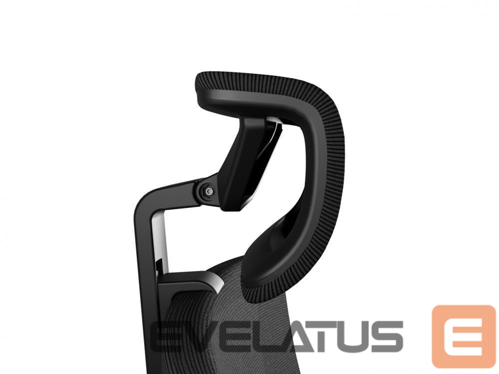 Arvutitoolid / lauad Genesis Ergonomic Chair Astat 200 Black