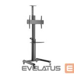 Telerite tarvikud Gembird  TV SET ACC FLOOR STAND 37-70"/TVS-70T-02 