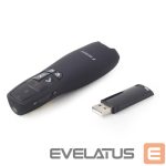 Projektorid Gembird  PRESENTER/POINTER WRL USB/WP-L-12 