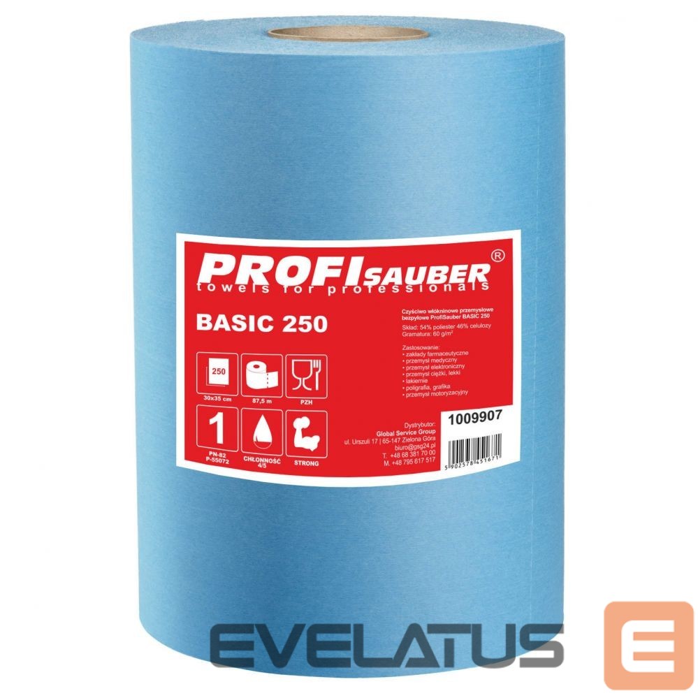 Autotarvikud Profi Sauber Dust-free non-woven industrial cleaning cloth ProfiSauber BASIC 250