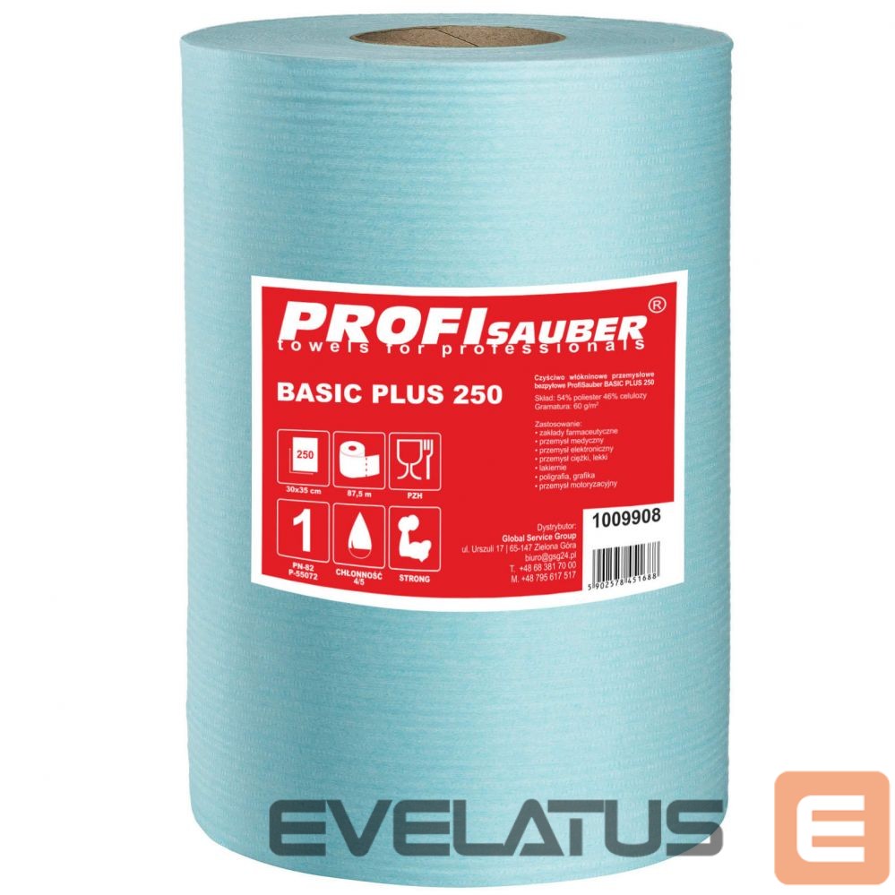 Autotarvikud Profi Sauber Dust-free non-woven industrial cleaning cloth ProfiSauber BASIC PLUS 250
