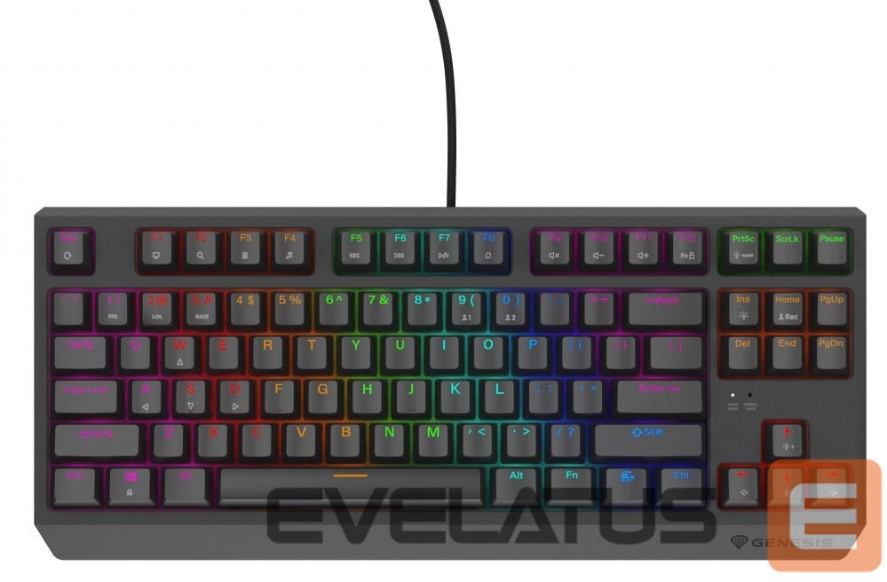 Arvuti klaviatuur Genesis THOR 230 | Mechanical Gaming Keyboard | Wired | US | Black | USB Type-A | Outemu Red