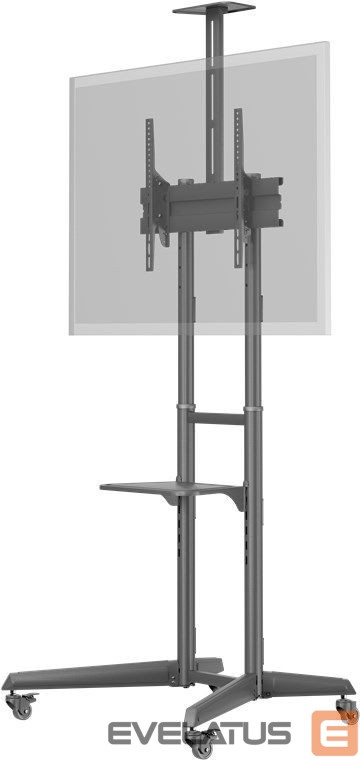 Teleri kinnitus Goobay Floor stand | 59508 TV Presentation Stand Pro (Size L) | Adjustable Height, Tilt | 37-70 " | Black