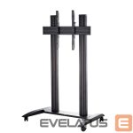 Teleri kinnitus EDBAK  Floor stand | TRV200 Videoconferencing Trolley | Tilt | 75-86 " | Maximum weight (capacity) 120 kg | Black 