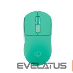 Arvutihiir Fury  Gaming Mouse | Tanto T4 | Wired/Wireless | 2.4 GHz, Bluetooth, USB | Mint 