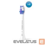 Hambahari Philips  Replacement brush heads | HX6056/87 Sonicare Sensitive | Heads | For adults | Number of brush heads included 6 | White 