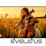 Televiisorid Sony  TV | K55XR55B Bravia 5 | 55 | Smart TV | Google TV | 4K UHD 