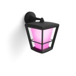 Laualamp Philips Hue  WCA Econic Outdoor Wall Lantern | 15 W | 2000-6500 Hue White Colour Ambiance 