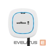 Elektrisõidukite lisavarustus Wallbox  Electric Vehicle charge | Pulsar Max | 22 kW | Wi-Fi, Bluetooth | 7 m | White 