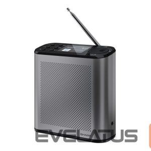 Interaktiivne lahendus Sharp  OSAKA Portable Digital Radio | DR-P530(GY) | USB port | Bluetooth | FM radio | Wireless connection 