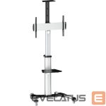 Teleri kinnitus Logilink  BP0025 TV stand cart, adjustable TV height, 37–70“, max. 50 kg  Floor stand, BP0025, 30-70 