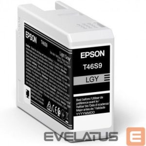 Tarvikud ja tarvikud EPSON  UltraChrome Pro 10 ink T46S9 Ink cartrige, Light Gray 