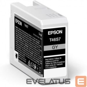 Tarvikud ja tarvikud EPSON  UltraChrome Pro 10 ink T46S7 Ink cartrige, Grey 