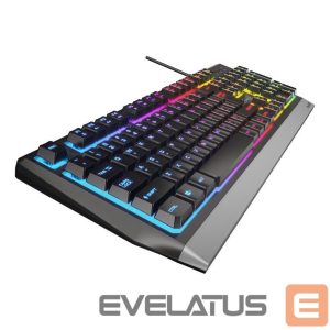 Arvuti klaviatuur Genesis  Rhod 300 RGB Gaming keyboard, RGB LED light, US, Black, Wired 