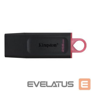 Mälupulk Kingston  MEMORY DRIVE FLASH USB3.2/256GB DTX/256GB 