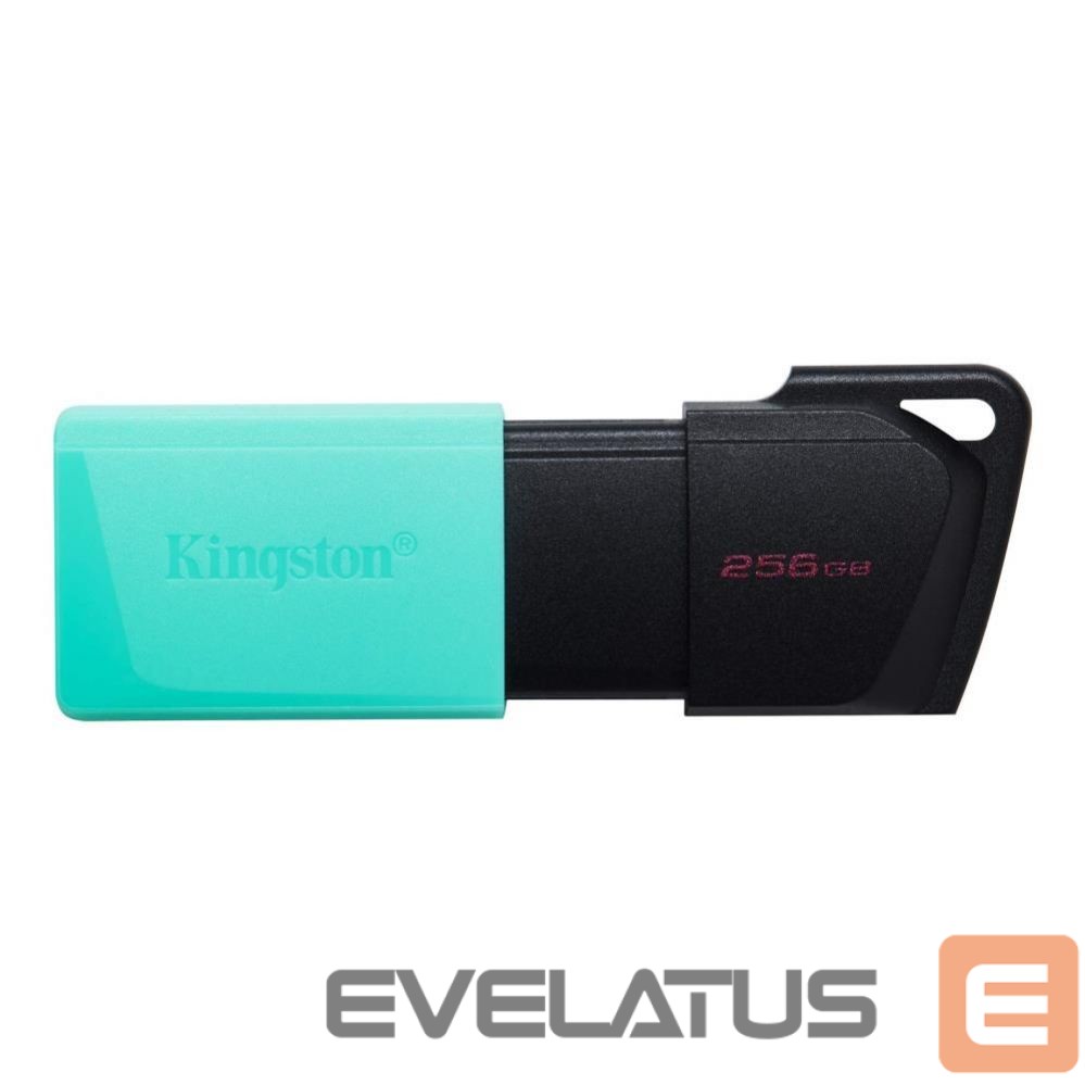 Mälupulk Kingston MEMORY DRIVE FLASH USB3.2/256GB DTXM/256GB