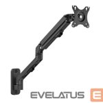 Teleri kinnitus Gembird  DISPLAY ACC MOUNTING ARM 27 