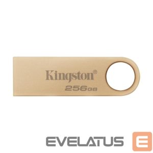 Mälupulk Kingston  MEMORY DRIVE FLASH USB3.2/256GB DTSE9G3/256GB 