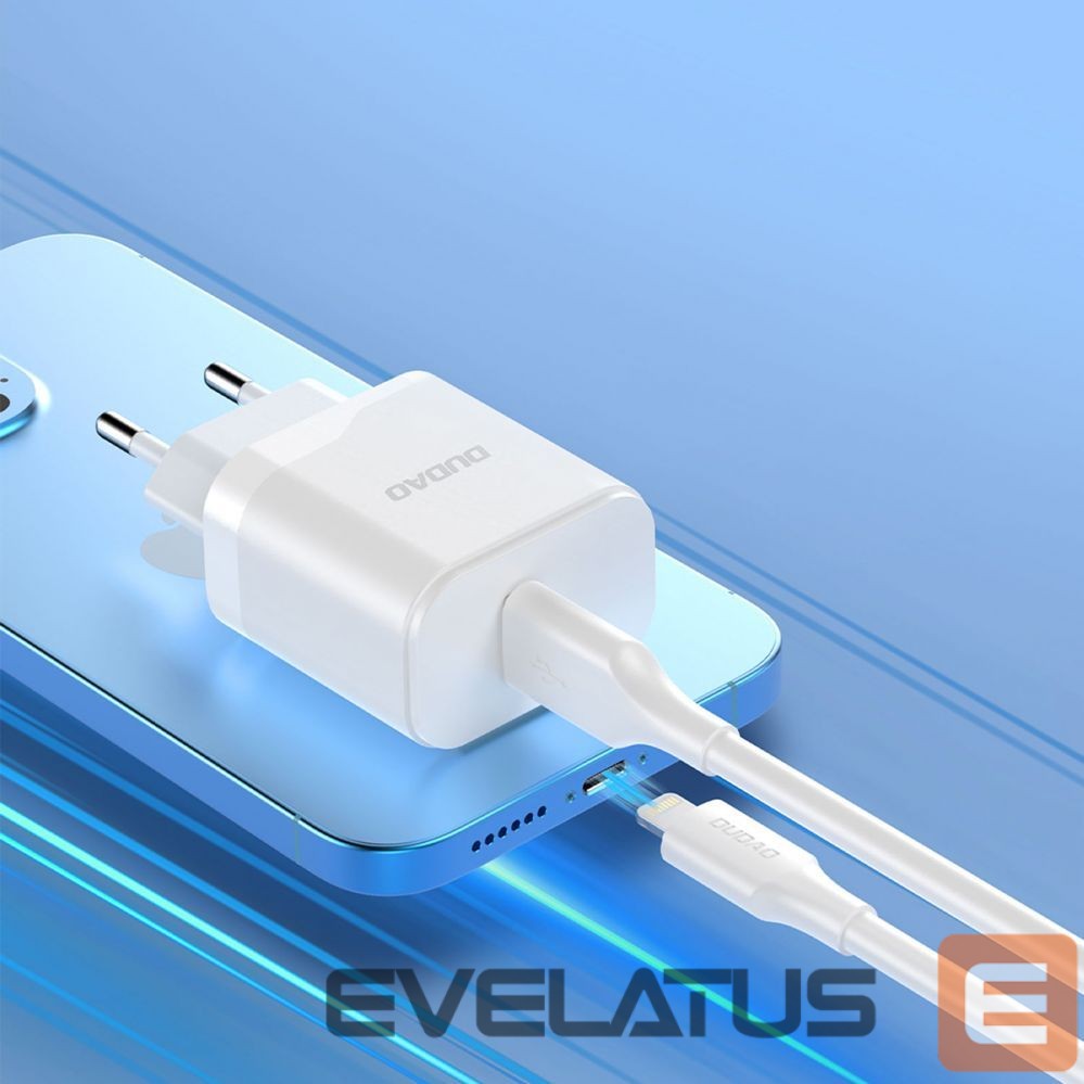 Adaptrid Dudao without cable \ USB-A (female)