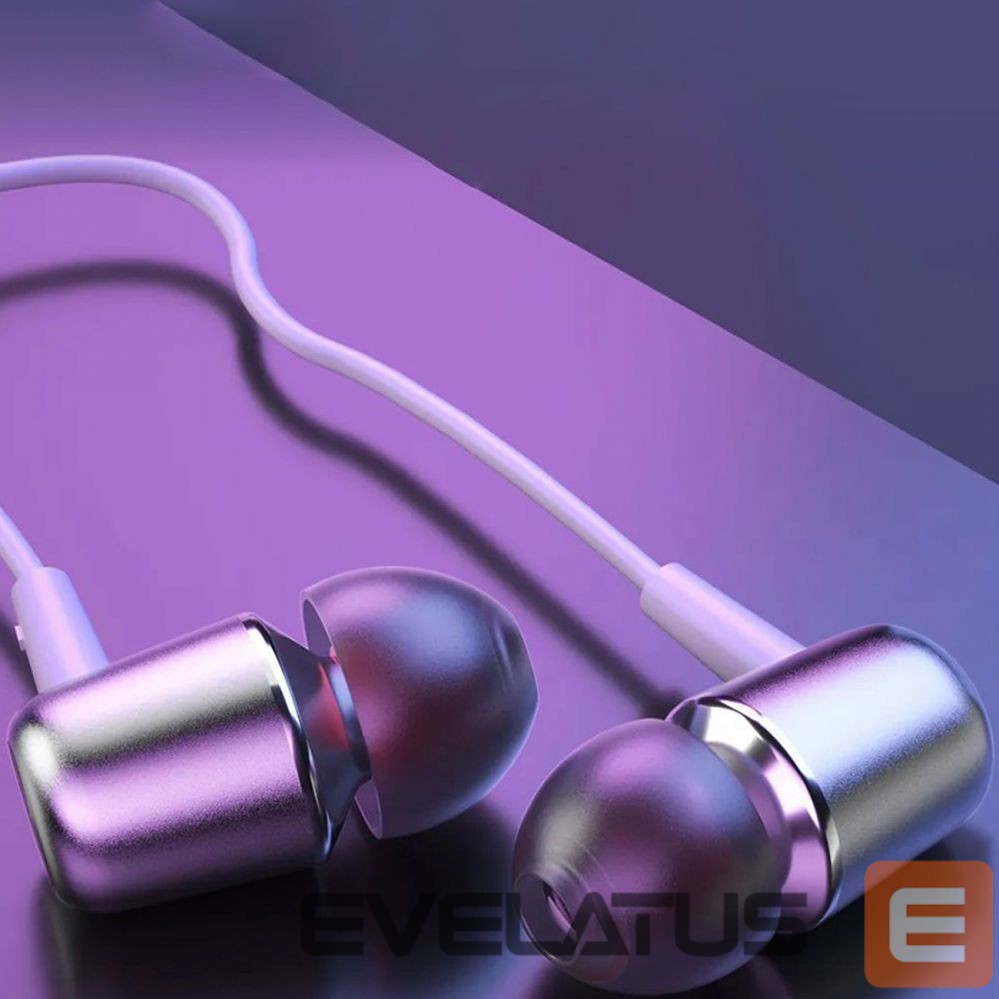 Kõrvaklapid Dudao IEM Earphones X1ProT Type-C 1200mm White