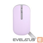 Arvutihiir Asus  Marshmallow Mouse | MD100 | Mouse | 2.4 GHz, Bluetooth | Beige 