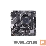 Intel protsessori emaplaat Asus  PRIME A520M-K Processor family AMD, Processor socket AM4, DDR4, Memory slots 2, Supported hard disk drive interfaces M.2, SATA, Number of SATA connectors 4, Chipset AMD A, Micro ATX 