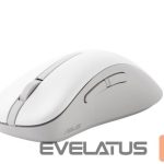 Arvutihiir Asus  MOUSE USB OPTICAL WRL MD102/WHITE 90XB0900-BMU000 