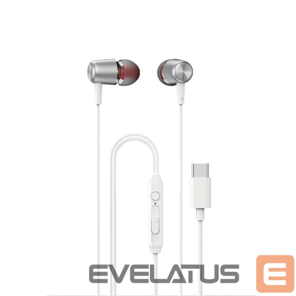 Kõrvaklapid Dudao IEM Earphones X1ProT Type-C 1200mm White