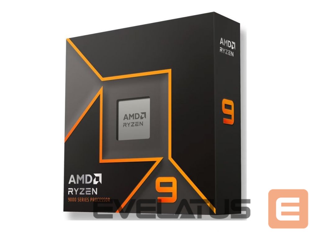 Protsessor AMD Ryzen 9 9900X