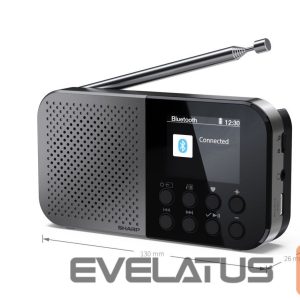 Interaktiivne lahendus Sharp  DR-P520(GY) OSAKA Pocket/Handheld Portable Digital Radio, Grey | 