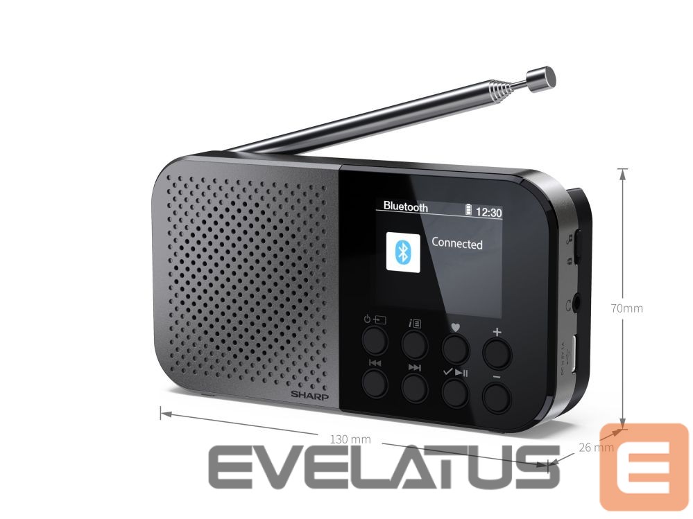 Interaktiivne lahendus Sharp DR-P520(GY) OSAKA Pocket/Handheld Portable Digital Radio, Grey |