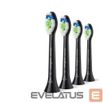 Hambahari Philips  Replacement brush heads | HX6064/88 Sonicare Optimal White | Heads | For adults | Number of brush heads included 4 | Black 