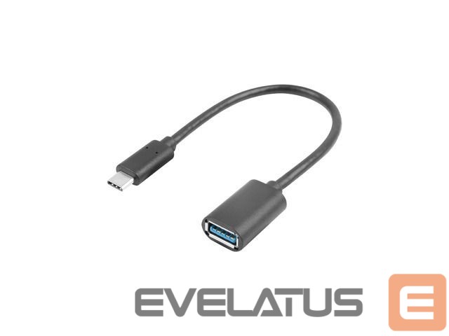 Laadija Lanberg Adapter Cable USB-C(M) 3.1 -> USB-A(F) 15 cm, Black | AD-UC-UA-04