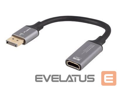 Monitori tarvik Lanberg Displayport (M)->HDMI(F) Adapter 8K on cable 20cm, Silver