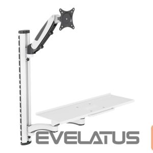 Teleri kinnitus Digitus  Workstation (monitor, keyboard, mouse) Wall Mount | 