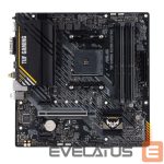 Intel protsessori emaplaat Asus  TUF GAMING A520M-PLUS Processor family  AMD, Processor socket AM4, DDR4, Memory slots 4, Supported hard disk drive interfaces 	SATA, M.2, Number of SATA connectors 4, Chipset  AMD A520, Micro ATX 