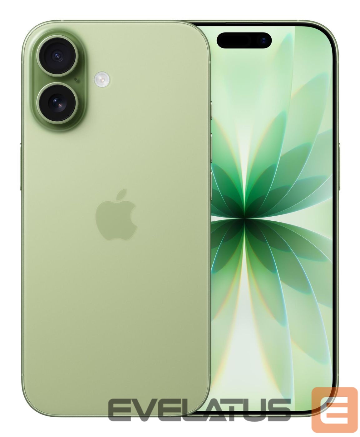 Nutitelefon Apple MOBILE PHONE IPHONE 17/256GB SAGE MG6N4