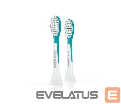 Hambahari Philips ELECTRIC TOOTHBRUSH ACC HEAD/HX6032/33