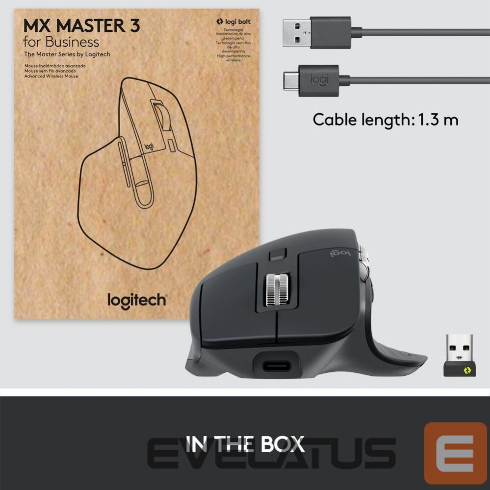 Arvutitarvikud Logitech LOGI MX Master 3S for Business GRAPHITE