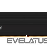 Operatiivmälu DDR4 Crucial  MEMORY DIMM PRO 48GB DDR5-5600/KIT2 CP2K24G56C46U5 