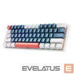 Arvuti klaviatuur Machenike  Machenike K500-B61 Wired Mechanical Gaming Keyboard with Backlight Brown Switch - Blue and White 
