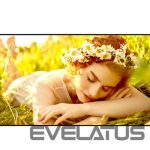 Monitorid LG  4K UHD Signage | 65UL5Q-E | 65 " | 500 cd/m² | Landscape/Portrait | 24/7 | webOS | 8 ms | 178 ° | 178 ° 