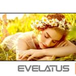 Monitorid LG  4K UHD Signage | 55UL5Q-E | 55 " | 500 cd/m² | Landscape/Portrait | 24/7 | webOS | Wi-Fi | 178 ° | 178 ° 