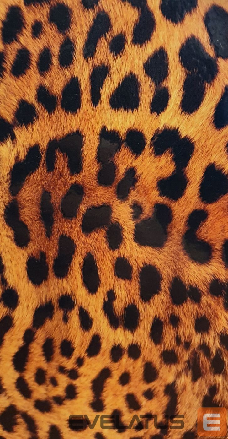 Kaitsekile Evelatus Universal Leopard Colorful Film for Screen Cutter