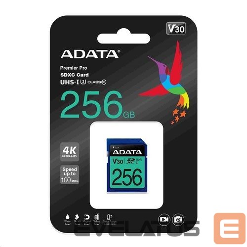 Muu arvutitarvik ADATA MEMORY SDXC 256GB V30/ASDX256GUI3V30S-R